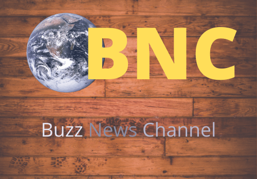 BNC Buzz News Channel logo